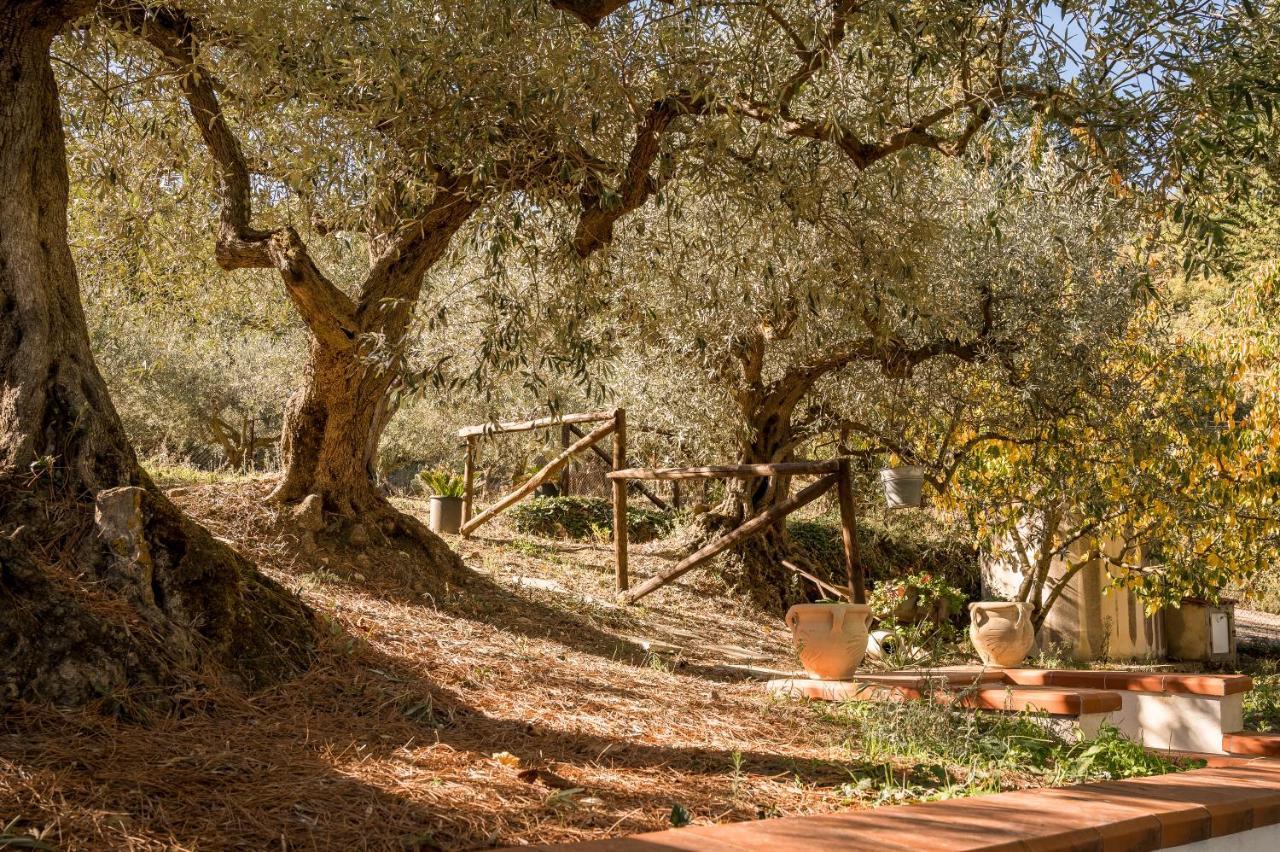 Valateddi Villa Cammarata Екстериор снимка